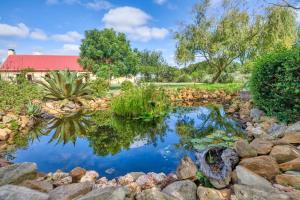 a pond in a garden with rocks and trees at Strandveld Vineyards Cottages in Elim