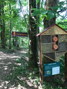domek dla ptaków na drzewie w lesie w obiekcie Auberge Les Hauts De Chenas w mieście Chénas