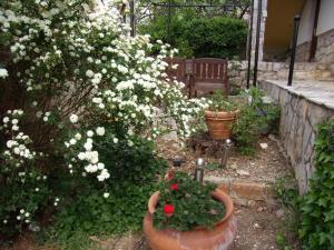 Zahrada ubytování Guest House Sunce