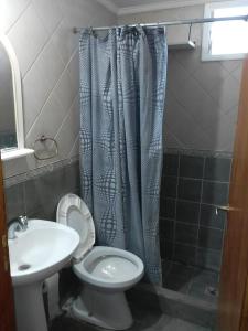 a bathroom with a toilet and a sink and a shower at PH BARRIO CONSTITUCIÓN MAR DEL PLATA A 6 CUADRAS DE LA PLAYA in Mar del Plata