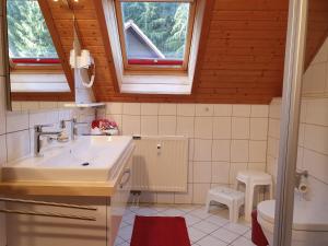 Ein Badezimmer in der Unterkunft ****FH Blauvogel 60 Harz