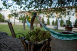 Zahrada ubytování Hotel São Francisco