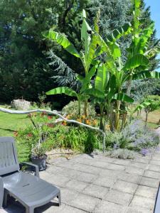 Gallery image of Gite Charentais, Le Coin Arboré in Boresse-et-Martron +33 photos