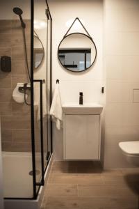 bagno con lavandino e specchio di Green Loft Apartament a Biała Podlaska