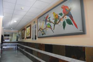 a hallway with paintings of birds on the wall at Quitagolpe in Jerez de la Frontera