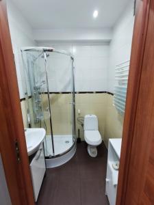 Salle de bains dans l'établissement APARTAMENT CIEŃ GIEWONTU