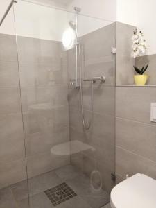 a bathroom with a shower with a glass door at Apartment EG in Oststeinbek