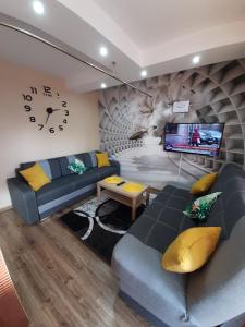 APARTAMENT CIEŃ GIEWONTU في زاكوباني: غرفة معيشة مع أريكة وتلفزيون