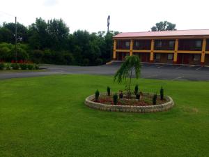 a small tree in a flower bed in a yard at Duffys Motel - Calhoun in Calhoun +11 photos
