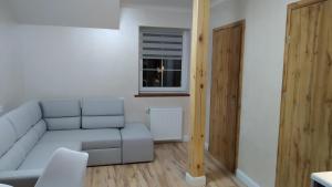 a living room with a couch and a window at Apartamenty U Iwony Centrum miasta blisko Parku Zdrojowego in Kudowa-Zdrój