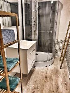 a bathroom with a shower and a sink at La Résidence du Canal de Bourgogne in Montbard