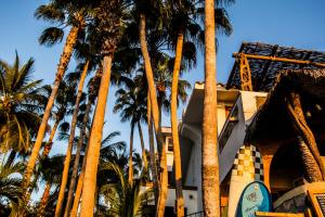 Zahrada ubytování Cabo Surf Hotel
