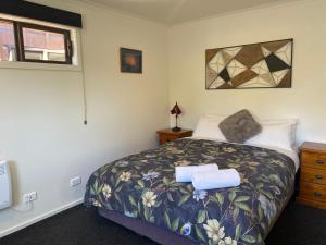 Schlafzimmer mit einem Bett und einem Fenster in der Unterkunft Star Cottages in Lake Tekapo