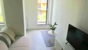 Televízia a/alebo spoločenská miestnosť v ubytovaní Modern Studio in Prague 7