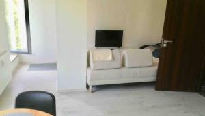 Televízia a/alebo spoločenská miestnosť v ubytovaní Modern Studio in Prague 7