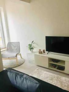 Televízia a/alebo spoločenská miestnosť v ubytovaní Modern Studio in Prague 7