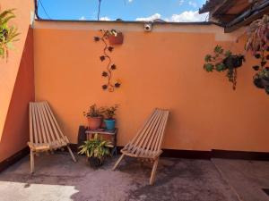 dos sillas de madera sentadas junto a una pared con plantas en Hospedaje El Viajero Antigua, en Antigua Guatemala