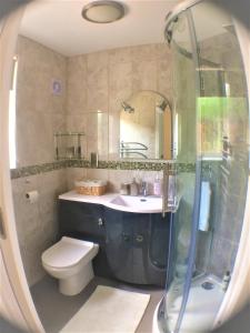 een badkamer met een toilet, een wastafel en een douche bij Hartpury B&B in Hartpury