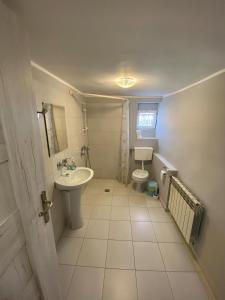 a bathroom with a sink and a toilet at Pokoje gościnne Izeria in Kamień