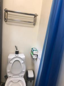 a bathroom with a toilet and a blue shower curtain at Simple Walk Guest House 小公寓 in Tainan