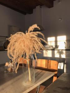 a plant in a glass vase on a table at Le Mottay Guesthouse in Saint-Père-en-Retz +26 photos