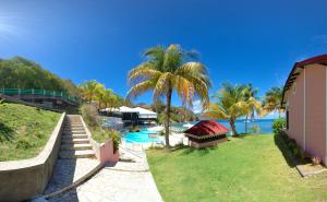 a resort with a pool and palm trees and the ocean at Hôtel Bois Joli in Terre-de-Haut