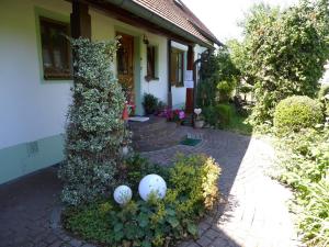 Zahrada ubytování Pension Rosengärtchen