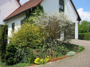Zahrada ubytování Pension Rosengärtchen