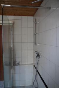 a shower in a tiled bathroom with a hose at Ferienwohnung an der Mainschleuße in Harrbach