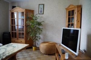 a living room with a tv sitting on a table at Ferienwohnung an der Mainschleuße in Harrbach
