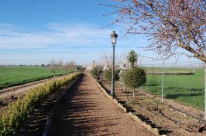 Zahrada ubytování Hotel El Cortijo de Daimiel