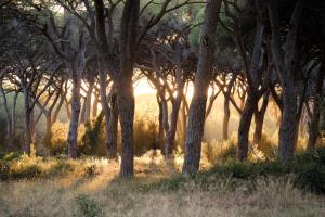 Gallery image of Residence La Canova II in Marina di Grosseto