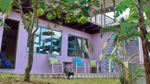 a purple building with chairs and a cat standing in front at Montaña Linda Guest House Orosi in Orosí