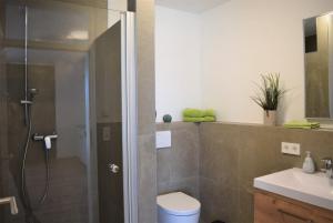 a bathroom with a shower and a toilet and a sink at Ferienhaus Marve in Ettenheim