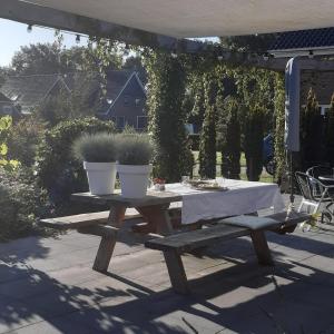 Zahrada ubytování B & B Janneke Elsloo Friesland