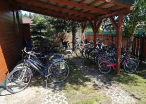 Jazda na bicykli v okolí ubytovania Domki u Reksa