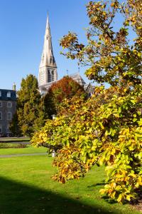 Zahrada ubytování Maynooth Campus Accommodation
