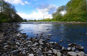 a river with rocks on the side of it at Black Burn Lodge in Newcastleton