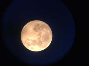 a yellow moon is shown in the sky at Black Burn Lodge in Newcastleton +23 photos