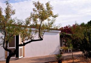 una casa bianca con un albero davanti di Villetta San Martino a Gallipoli