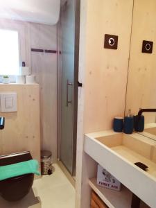 ein Badezimmer mit Dusche, Waschbecken und Toilette in der Unterkunft BUQEZ Villa 30 "Beachvilla Stella" mit SPA & Meerblick in Drage
