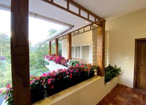 Flower Valley Plantation Homestay外面的花园