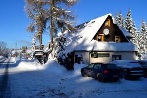 Landgasthof und Pension Erzgebirgsstübel trong mùa đông +9 ảnh