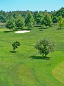 Golf facilities at a szállodákat or nearby