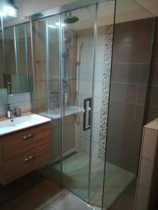 ヘーヴィーズにあるKaTo Apartman Hevizのバスルーム(ガラスドア付きのシャワー付)