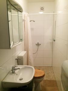 Ein Badezimmer in der Unterkunft Studio Apartment Villa Seiz