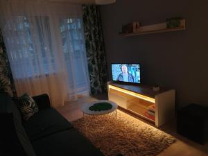 Televízia a/alebo spoločenská miestnosť v ubytovaní POKOJE GOŚCINNE UZDROVISCO CIEPLICE