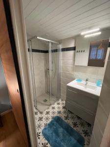 uma casa de banho com um chuveiro e um lavatório. em Netmust vacances em Saint-Palais-sur-Mer
