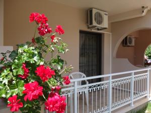 Балкон или терраса в Toula's Apartments