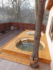 a hot tub around a tree on a deck at Casa Pedro in Blăjani